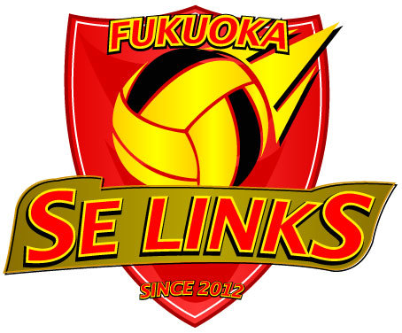 SE LINKS